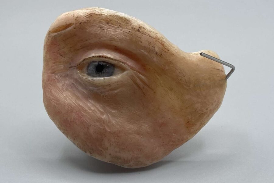 Cómo elegir un laboratorio de prótesis facial