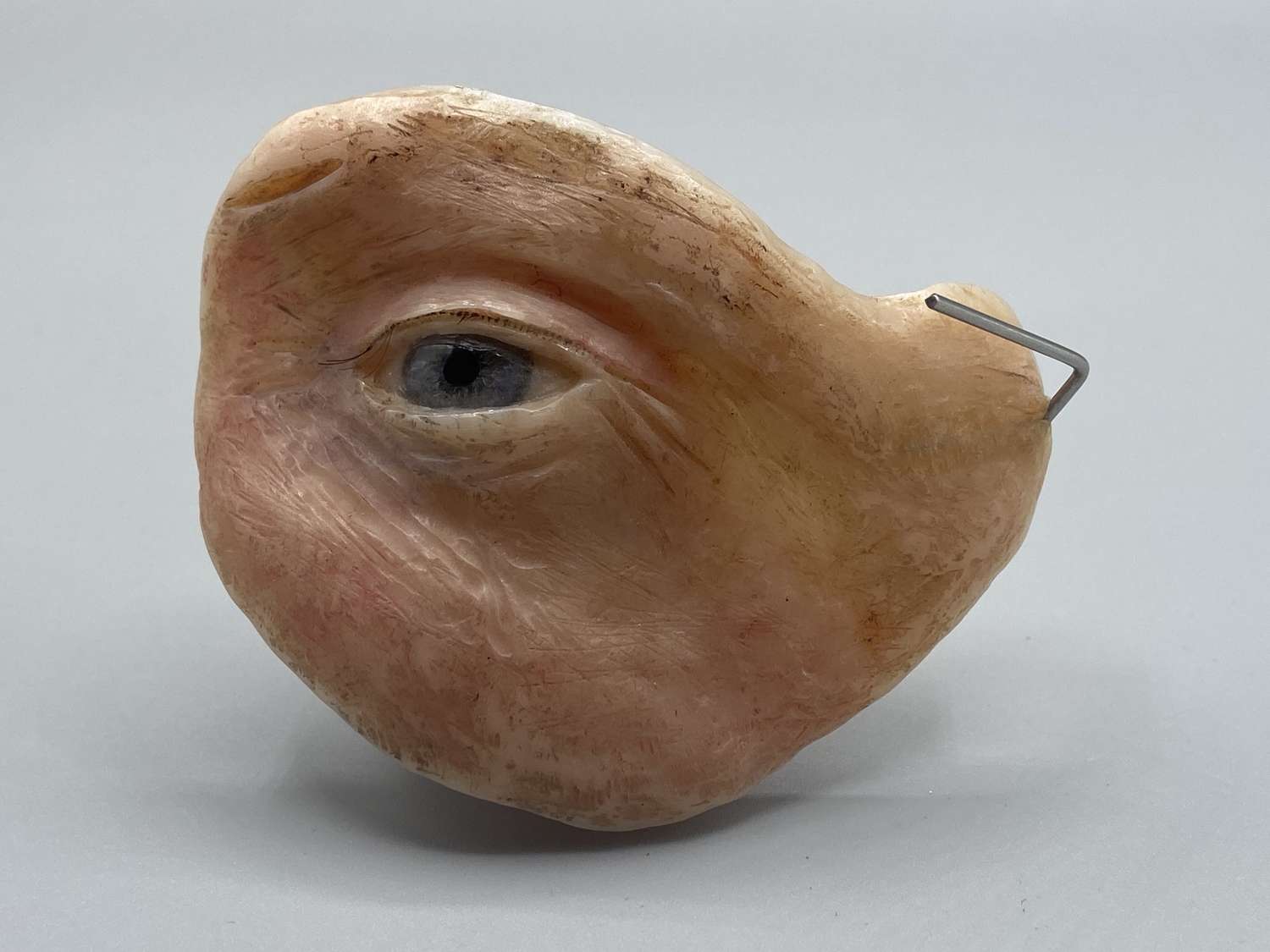 Cómo elegir un laboratorio de prótesis facial